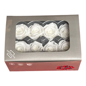 Trandafiri Criogenati MEDIU WHITE (Ø4,5-5cm, set 8buc)-Depozitul de Criogenati