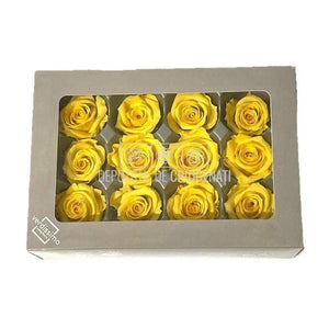 Trandafiri Criogenati Mini Bright Yellow (Ø3,5-4,5cm, set 12 buc) - DepozituldeCriogenati.ro