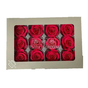 Trandafiri Criogenati MINI DARK PINK (Ø3,5-4,5cm, set 12 buc) - DepozituldeCriogenati.ro