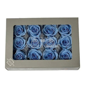 Trandafiri Criogenati MINI LIGHT BLUE (Ø3,5-4,5cm, set 12 buc) - DepozituldeCriogenati.ro