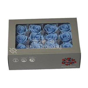 Trandafiri Criogenati MINI LIGHT BLUE (Ø3,5-4,5cm, set 12 buc) - DepozituldeCriogenati.ro