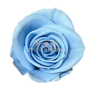 Trandafiri Criogenati MINI LIGHT BLUE (Ø3,5-4,5cm, set 12 buc) - DepozituldeCriogenati.ro