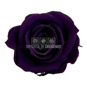 Trandafiri Criogenati MINI PURPLE (Ø3,5-4,5cm, set 12 buc) - DepozituldeCriogenati.ro