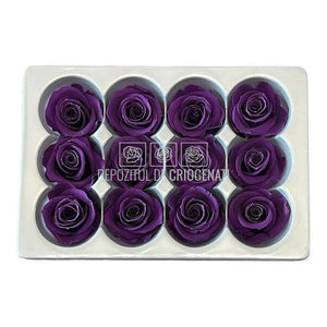 Trandafiri Criogenati MINI PURPLE (Ø3,5-4,5cm, set 12 buc) - DepozituldeCriogenati.ro