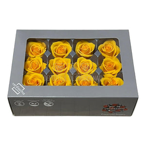 Trandafiri Criogenati Mini Warm Yellow (Ø3,5-4,5cm, set 12 buc) - DepozituldeCriogenati.ro