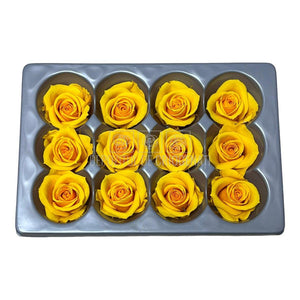Trandafiri Criogenati Mini Warm Yellow (Ø3,5-4,5cm, set 12 buc) - DepozituldeCriogenati.ro