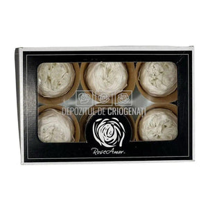 Trandafiri Criogenati NIKI WHI-01 (Ø5cm, set 6 buc /cutie) - DepozituldeCriogenati.ro