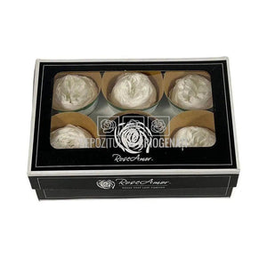 Trandafiri Criogenati NIKI WHI-01 (Ø5cm, set 6 buc /cutie) - DepozituldeCriogenati.ro