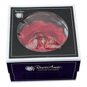 Trandafiri Criogenati NIKI XXL RED-02 (Ø9cm, set 1 buc /cutie) - DepozituldeCriogenati.ro