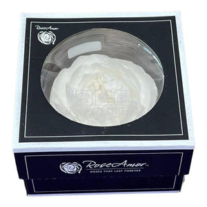 Trandafiri Criogenati NIKI XXL WHI-01 (Ø9cm, set 1 buc /cutie) - DepozituldeCriogenati.ro