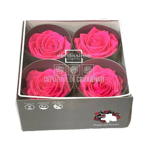 Trandafiri Criogenati PREMIUM BRIGHT PINK (Ø7-8,5cm; set 4 buc) - DepozituldeCriogenati.ro