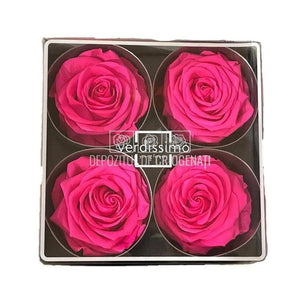 Trandafiri Criogenati PREMIUM BRIGHT PINK (Ø7-8,5cm; set 4 buc) - DepozituldeCriogenati.ro