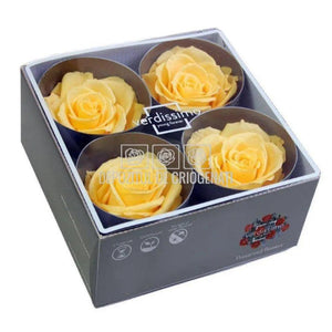 Trandafiri Criogenati PREMIUM BRIGHT YELLOW (Ø7-8,5cm; set 4 buc) - DepozituldeCriogenati.ro