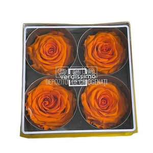 Trandafiri Criogenati PREMIUM ORANGE (Ø7-8,5cm; set 4 buc) - DepozituldeCriogenati.ro