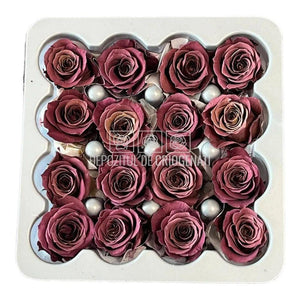 Trandafiri Criogenati PRINCESS PURPLE (Ø2,5-3cm, set 16 buc /cutie) - DepozituldeCriogenati.ro