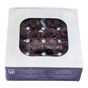 Trandafiri Criogenati PRINCESS PURPLE (Ø2,5-3cm, set 16 buc /cutie) - DepozituldeCriogenati.ro