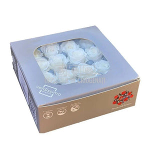 Trandafiri Criogenati PRINCESS WHITE (Ø2,5-3cm, set 16 buc) - DepozituldeCriogenati.ro