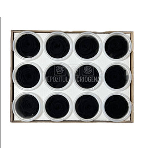 Trandafiri Criogenati S BLA-01 (Ø3-4cm, set 12 buc /cutie) - DepozituldeCriogenati.ro