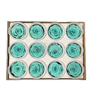 Trandafiri Criogenati S BLU-02 (Ø3-4cm, set 12 buc /cutie) - DepozituldeCriogenati.ro