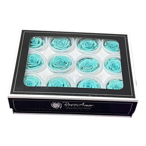 Trandafiri Criogenati S BLU-02 (Ø3-4cm, set 12 buc /cutie) - DepozituldeCriogenati.ro