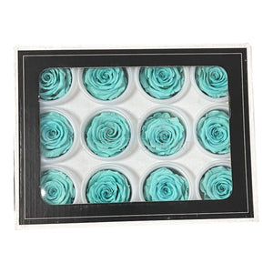 Trandafiri Criogenati S BLU-02 (Ø3-4cm, set 12 buc /cutie) - DepozituldeCriogenati.ro