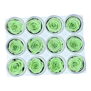 Trandafiri Criogenati S GRE-04 (Ø3-4cm, set 12 buc /cutie) - DepozituldeCriogenati.ro