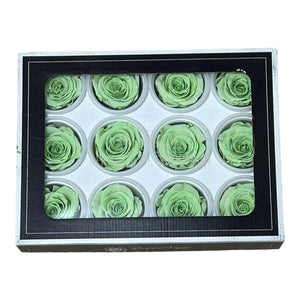 Trandafiri Criogenati S GRE-04 (Ø3-4cm, set 12 buc /cutie) - DepozituldeCriogenati.ro