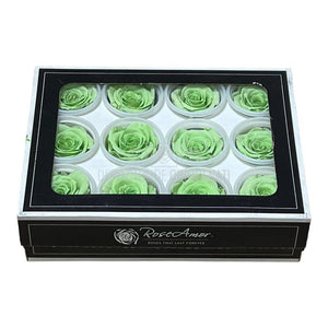 Trandafiri Criogenati S GRE-04 (Ø3-4cm, set 12 buc /cutie) - DepozituldeCriogenati.ro