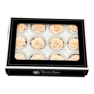 Trandafiri Criogenati S PEA-89 (Ø3-4cm, set 12 buc /cutie) - DepozituldeCriogenati.ro