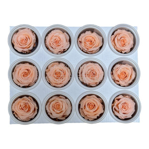 Trandafiri Criogenati S PEA-99 (dia. 3-4cm, set 12 buc /cutie)