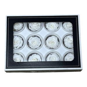 Trandafiri Criogenati S WHI-01 (Ø3-4cm, set 12 buc /cutie) - DepozituldeCriogenati.ro