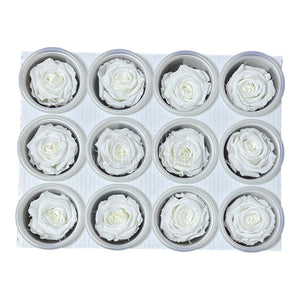 Trandafiri Criogenati S WHI-01 (Ø3-4cm, set 12 buc /cutie) - DepozituldeCriogenati.ro