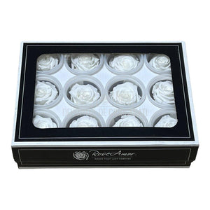 Trandafiri Criogenati S WHI-01 (Ø3-4cm, set 12 buc /cutie) - DepozituldeCriogenati.ro