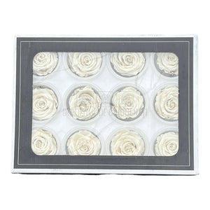 Trandafiri Criogenati S WHI-04 (Ø3-4cm, set 12 buc /cutie) - DepozituldeCriogenati.ro