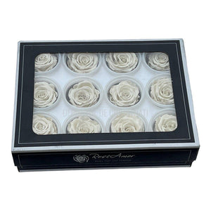 Trandafiri Criogenati S WHI-04 (Ø3-4cm, set 12 buc /cutie) - DepozituldeCriogenati.ro