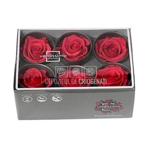 Trandafiri Criogenati STANDARD DARK PINK (Ø5-5,5cm) - DepozituldeCriogenati.ro