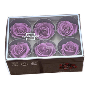 Trandafiri Criogenati STANDARD LILA (Ø5-5,5cm) - DepozituldeCriogenati.ro