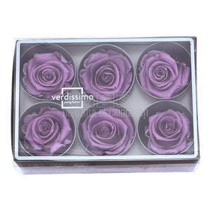 Trandafiri Criogenati STANDARD LILA (Ø5-5,5cm) - DepozituldeCriogenati.ro
