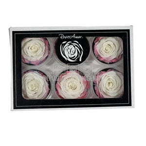 Trandafiri Criogenati XL BIC-60 (Ø6-6,5cm, set 6 buc /cutie) - DepozituldeCriogenati.ro