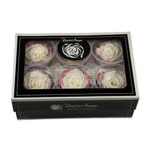 Trandafiri Criogenati XL BIC-60 (Ø6-6,5cm, set 6 buc /cutie) - DepozituldeCriogenati.ro
