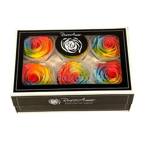 Trandafiri Criogenati XL BIC-61 (Ø6-6,5cm, set 6 buc /cutie) - DepozituldeCriogenati.ro