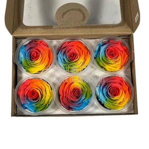 Trandafiri Criogenati XL BIC-61 (Ø6-6,5cm, set 6 buc /cutie) - DepozituldeCriogenati.ro