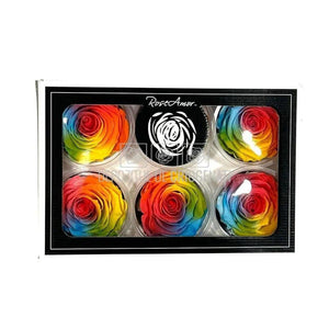 Trandafiri Criogenati XL BIC-61 (Ø6-6,5cm, set 6 buc /cutie) - DepozituldeCriogenati.ro