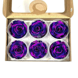 Trandafiri Criogenati XL BIC-65 (Ø6-6,5cm, set 6 buc /cutie) - DepozituldeCriogenati.ro