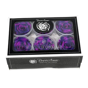 Trandafiri Criogenati XL BIC-65 (Ø6-6,5cm, set 6 buc /cutie) - DepozituldeCriogenati.ro