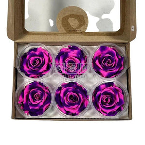 Trandafiri Criogenati XL BIC-66 (Ø6-6,5cm, set 6 buc /cutie) - DepozituldeCriogenati.ro