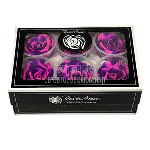 Trandafiri Criogenati XL BIC-66 (Ø6-6,5cm, set 6 buc /cutie) - DepozituldeCriogenati.ro