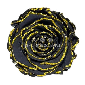 Trandafiri Criogenati XL GLITTER GOLD BLA-01 (Ø6-6,5cm set 6 buc) - DepozituldeCriogenati.ro