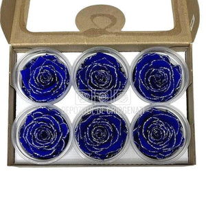 Trandafiri Criogenati XL GLITTER SILVER BLU-03 (Ø6-6,5cm set 6 buc) - DepozituldeCriogenati.ro
