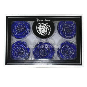 Trandafiri Criogenati XL GLITTER SILVER BLU-03 (Ø6-6,5cm set 6 buc) - DepozituldeCriogenati.ro